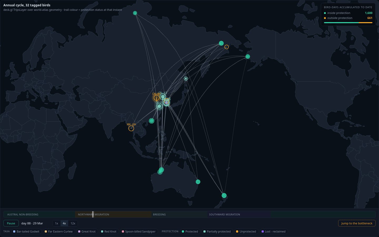 Preview of Flyway Bottleneck Telemetry Map
